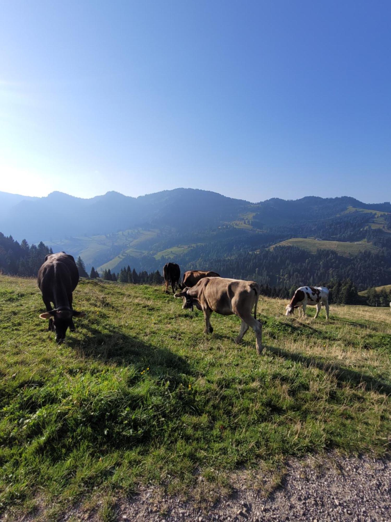 Apartamento Allgaeublick Wangen im Allgäu Exterior foto