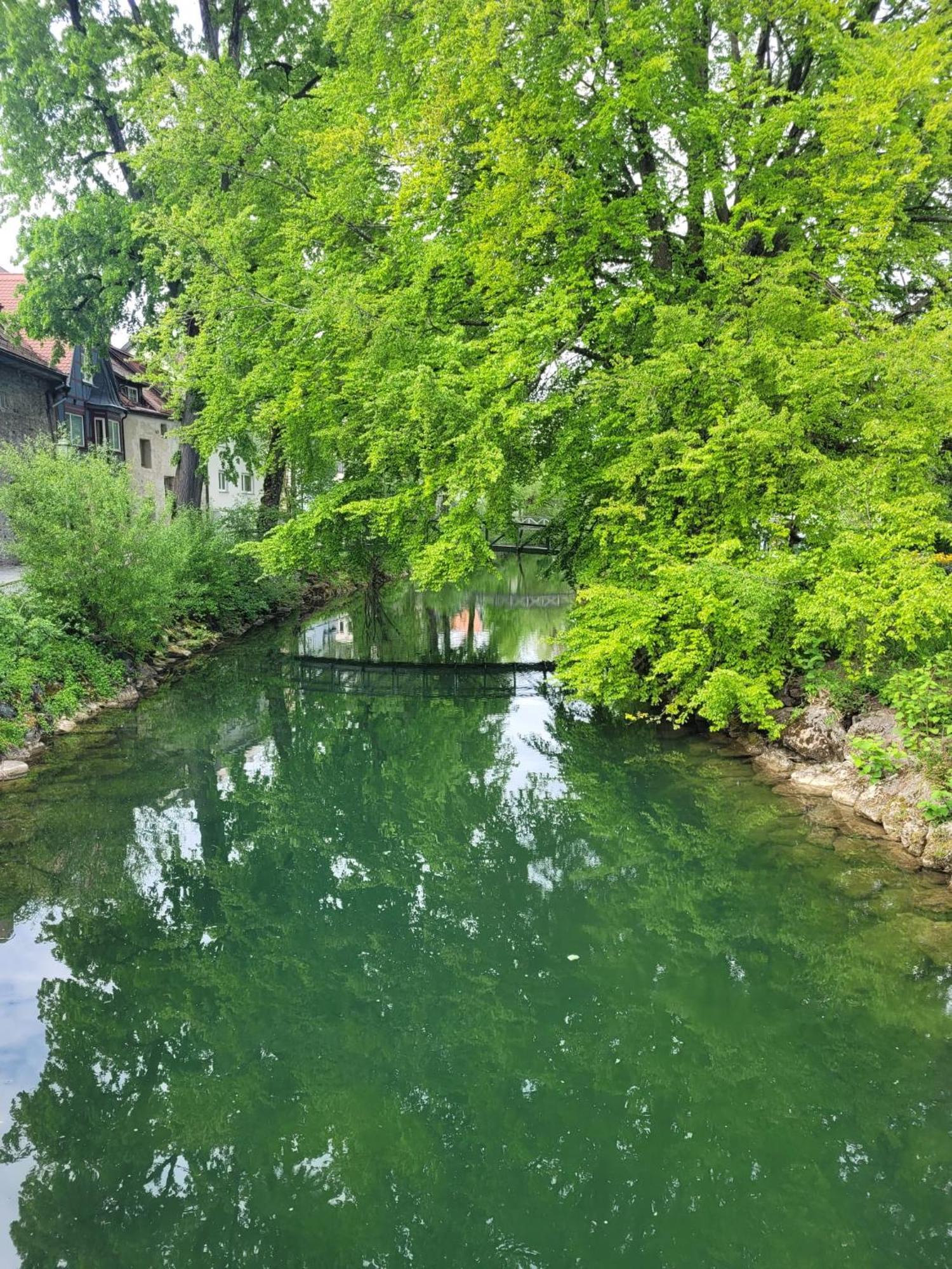 Apartamento Allgaeublick Wangen im Allgäu Exterior foto